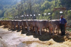 mnn. ZF Wendel OB Michel Josef Melchtal